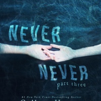 Never Never (part 3)  by Colleen Hoover and Tarryn Fisher