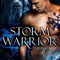 Storm Warrior (Grim #1) by Dani Harper