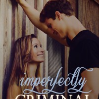 Imperfectly Criminal (Imperfect #2) by Mary Frame