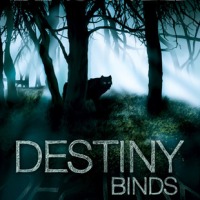 Destiny Binds (Timber Wolves Trilogy #1) by Tammy Blackwell